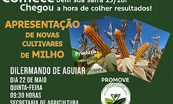 4b325934-f531-4440-bdc0-e9f0c31d82c4.jpg